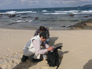 collecting sands.JPG